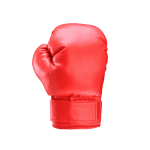 Red Boxing Gloves