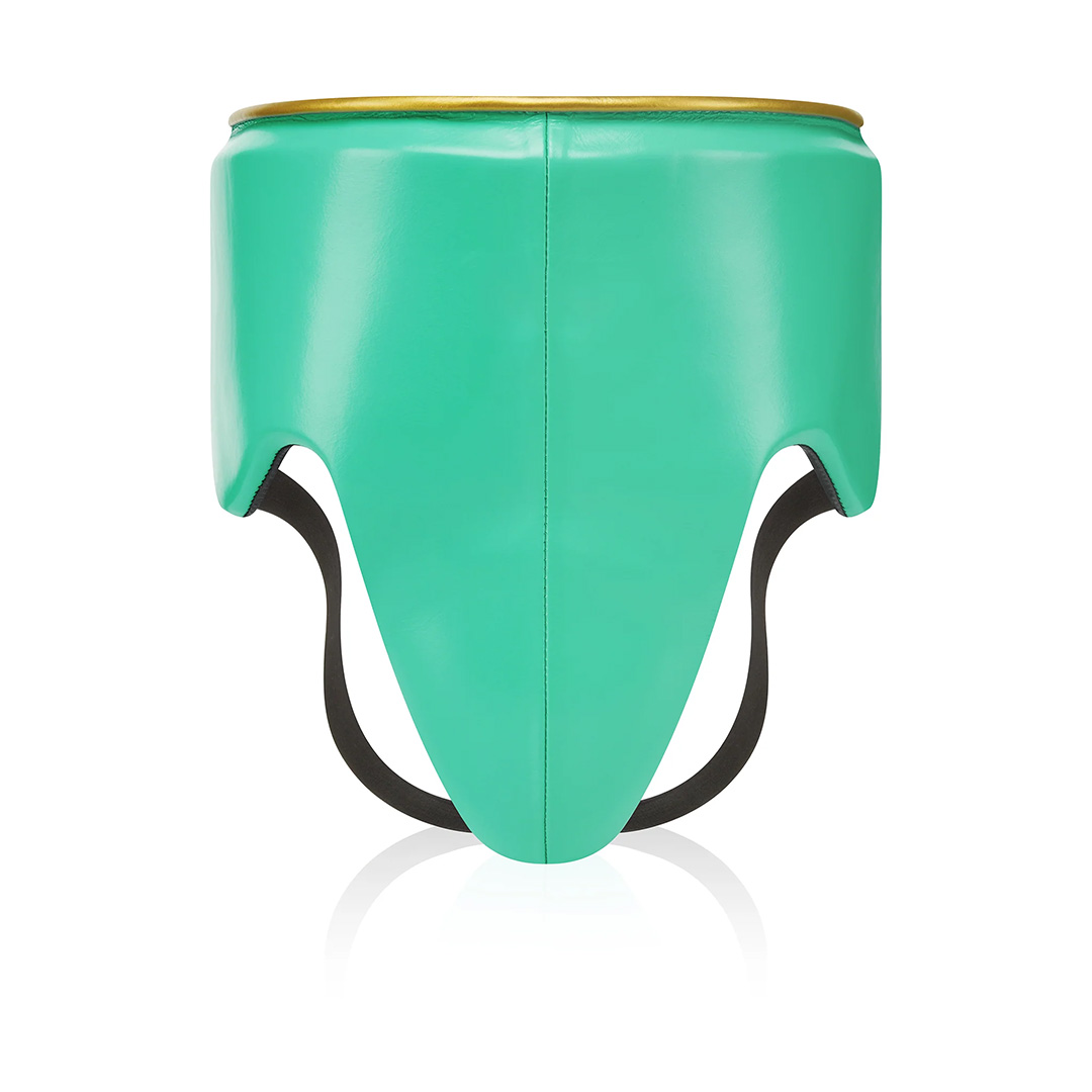 guard 4 Premium Leather Groin Guard - Turquoise - Image 1